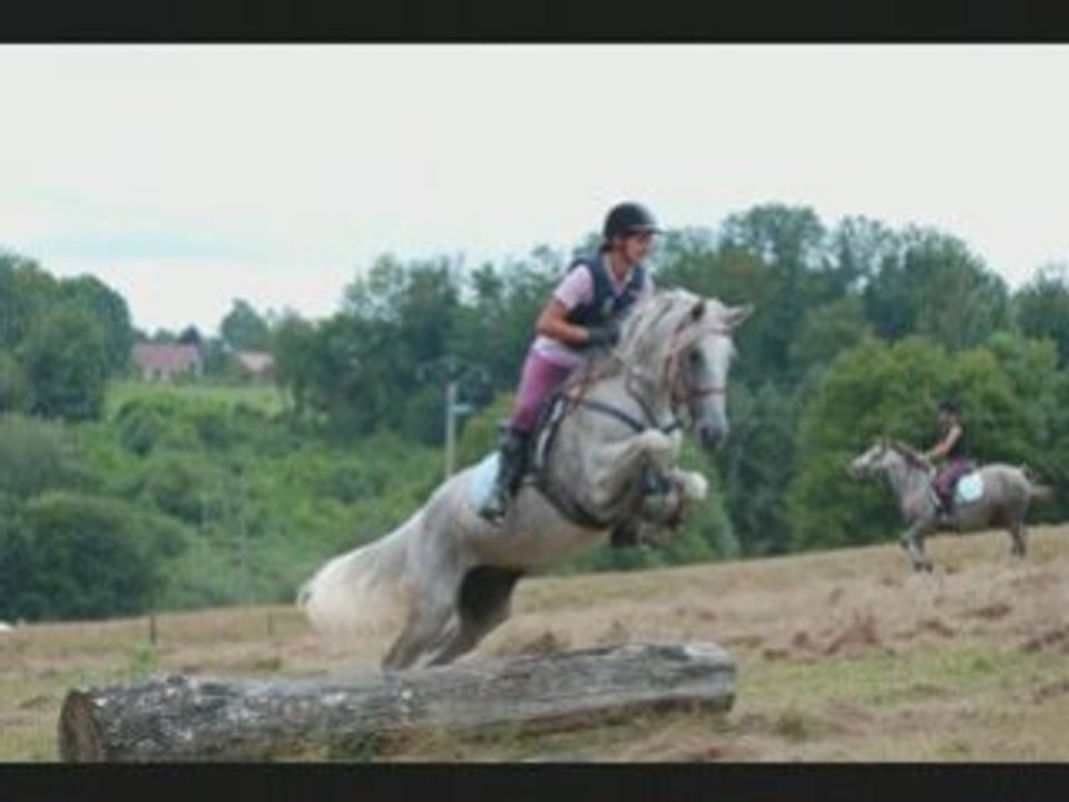 Tordo
