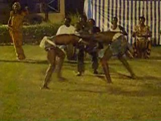 démonstration de lutte sénégalaise