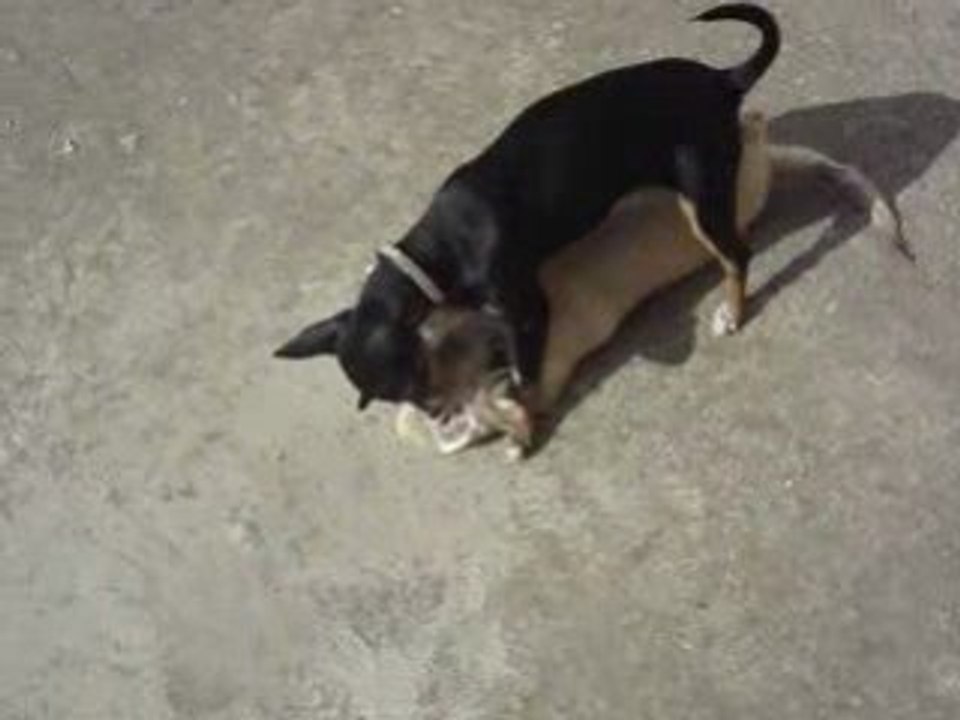 MOV03420