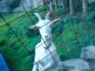 la suite du vré maçon 6