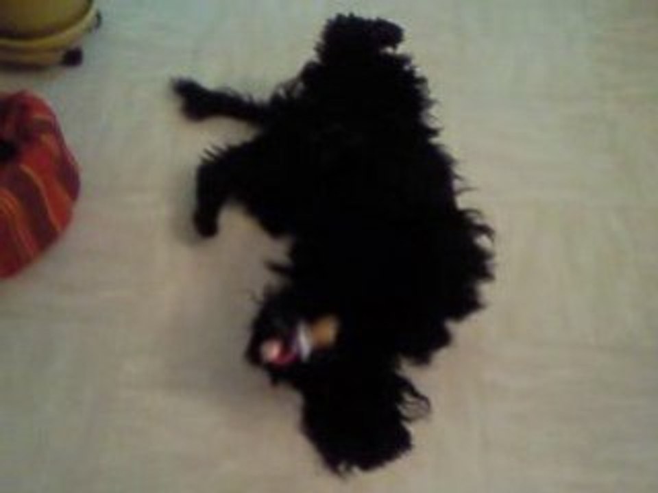 Cookie sucette2