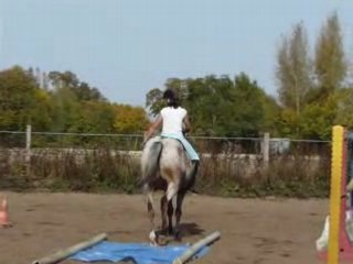 petit trec au haras du buteau