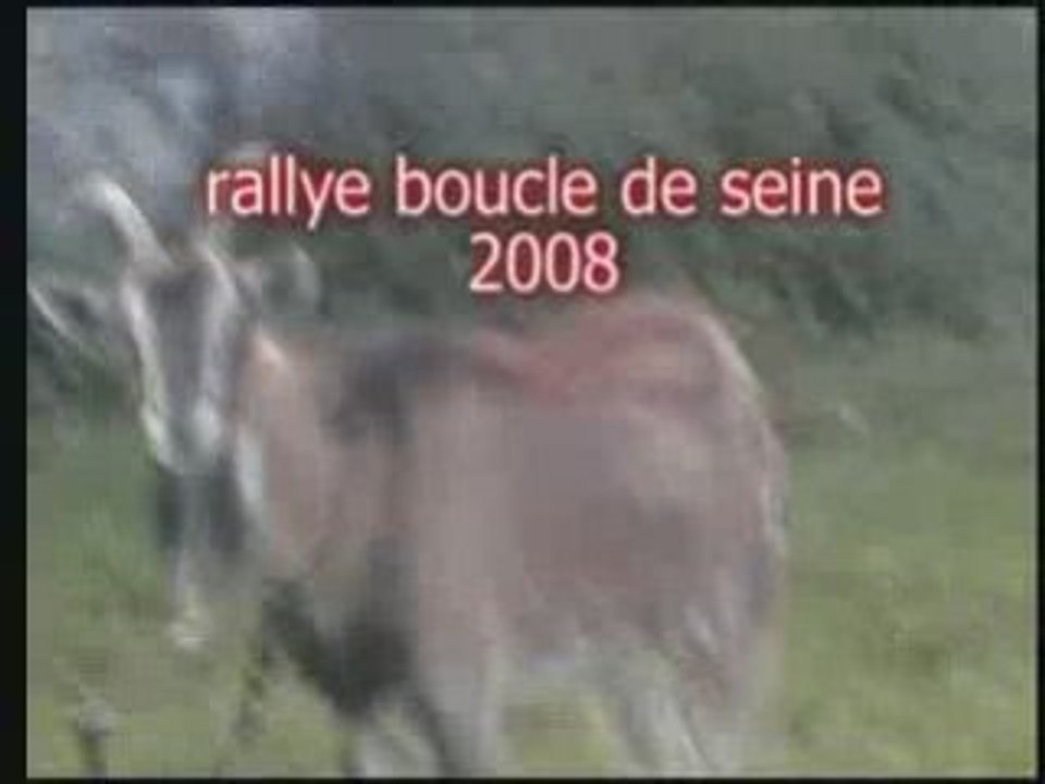 rallye Boucle de seine