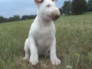 Cindy - první díra