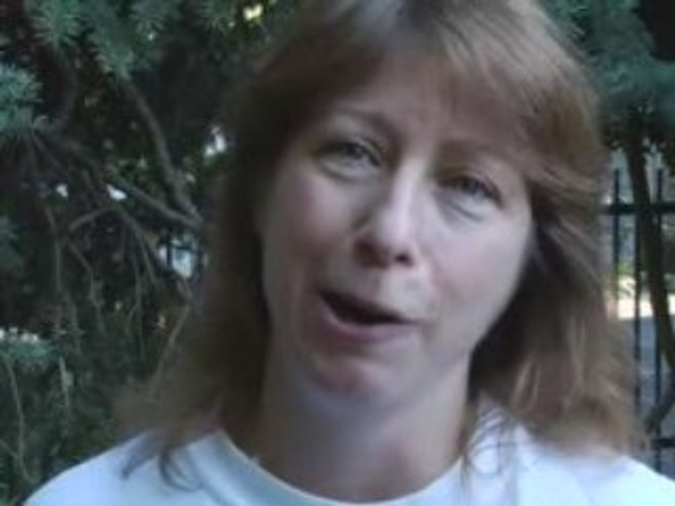 McCain and Palin Attack on Obama, The Truth About Obama