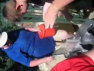 Video penguins feeding