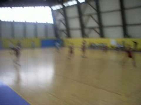 ANTO LE RENARD DES SURFACES BUT