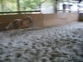 Lucky Luke au galOp <3