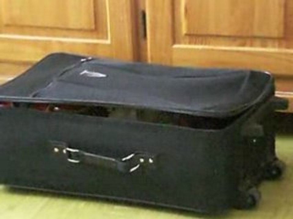 Chat dans une valise