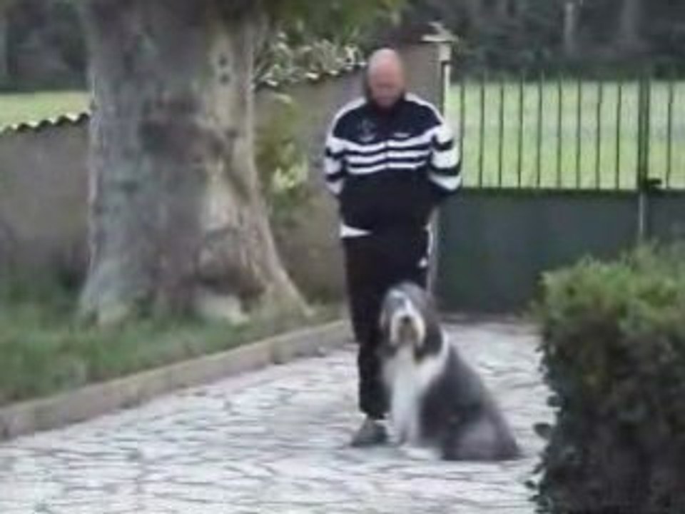 ULYSSE AU TRAVAIL