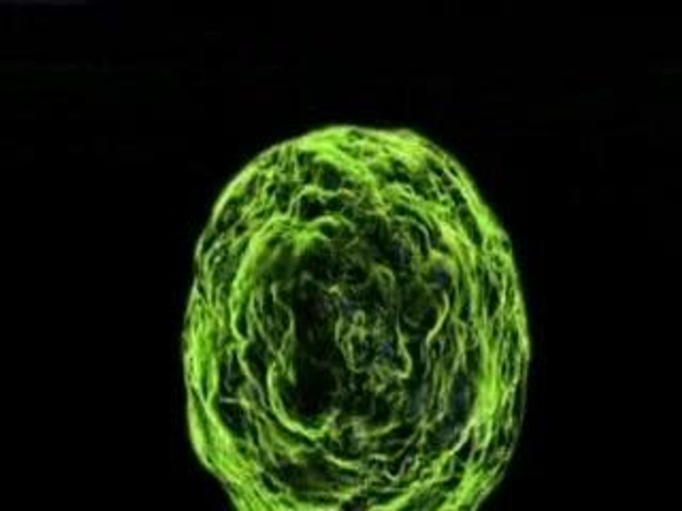 Spore