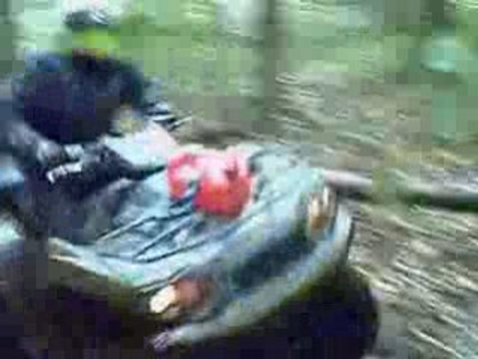 CLIP0007