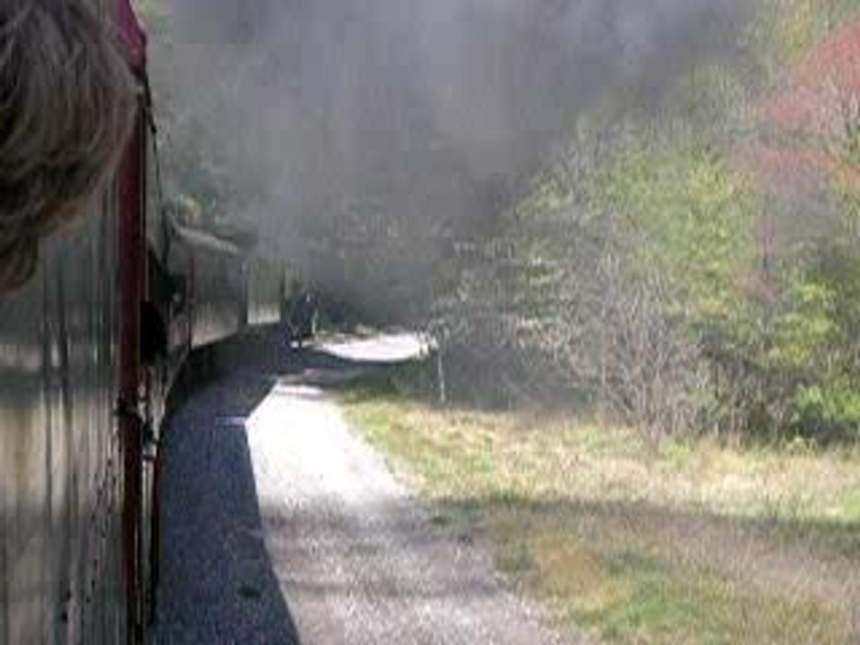 Into Brush Tunnel