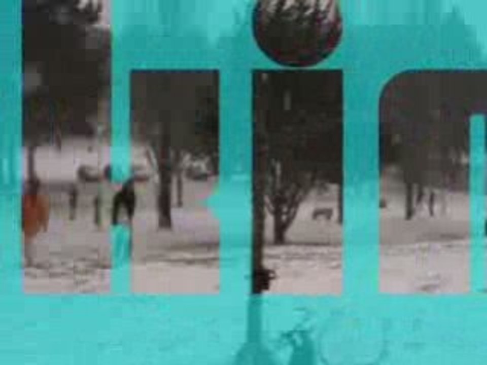 SkimBoard des Neiges