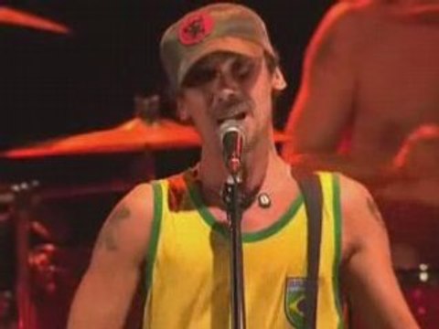 Manu Chao Me Llaman Calle LIVE pont du Gard