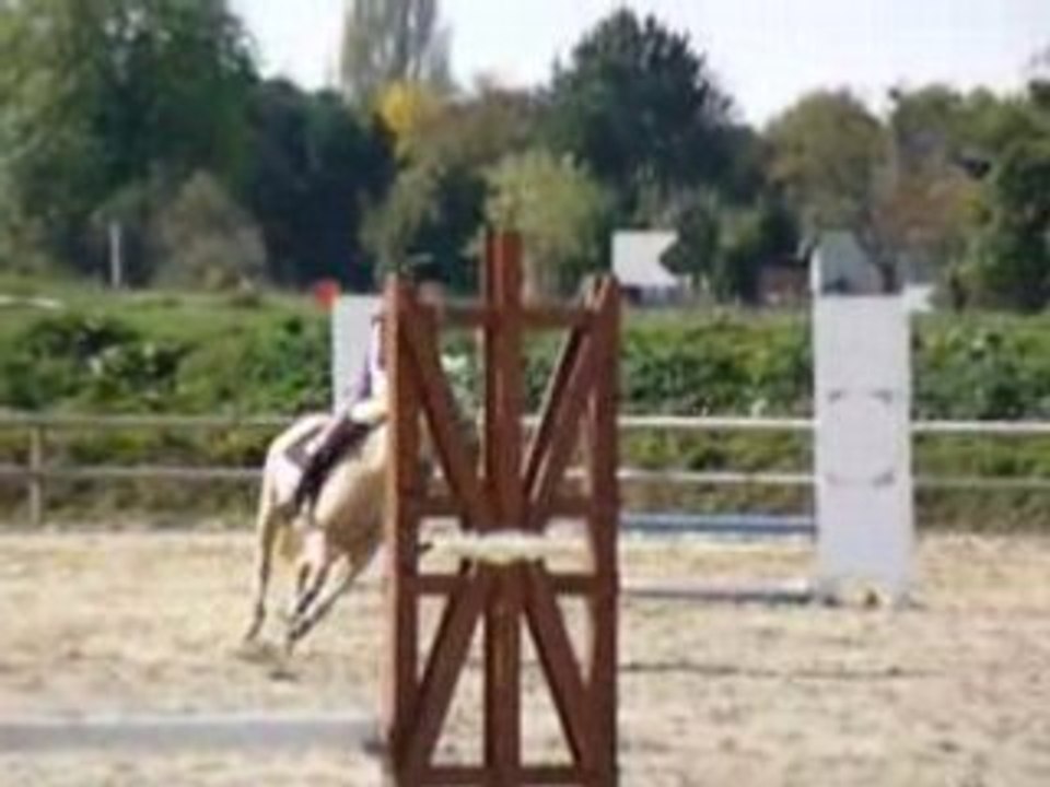 shakira et agathe CSO au mesnil d'argences