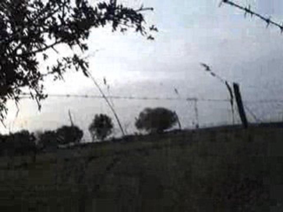 Vidéo des millier de palombes 005