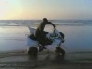 raptor au maroc sur la plage