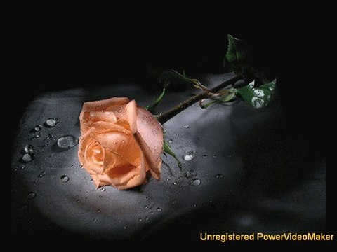 Uğur Işılak Aşkın Cenazesi Var (Garamustafa)