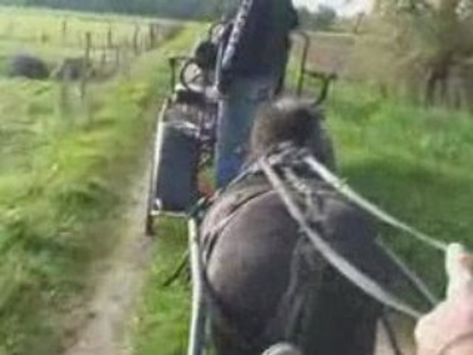Attelage Cachou
