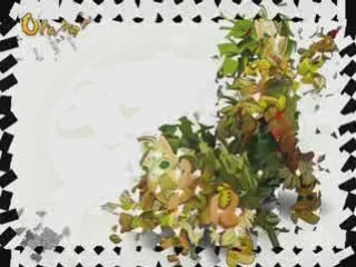 Dofus video des 12 classes