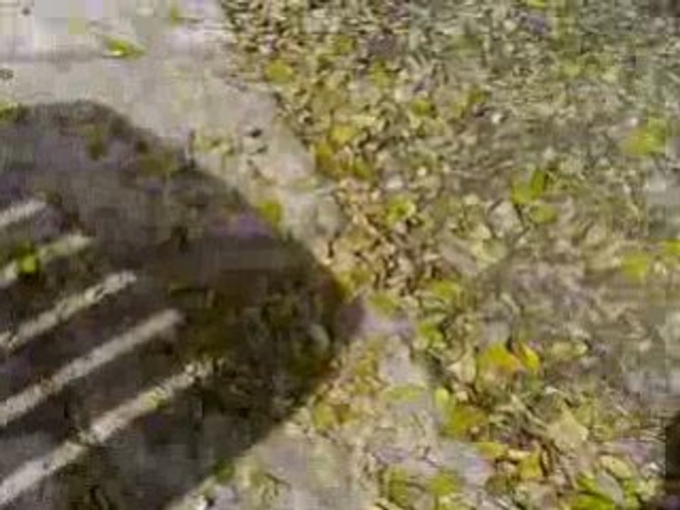 Anniv 2008 22/25 ans !!!