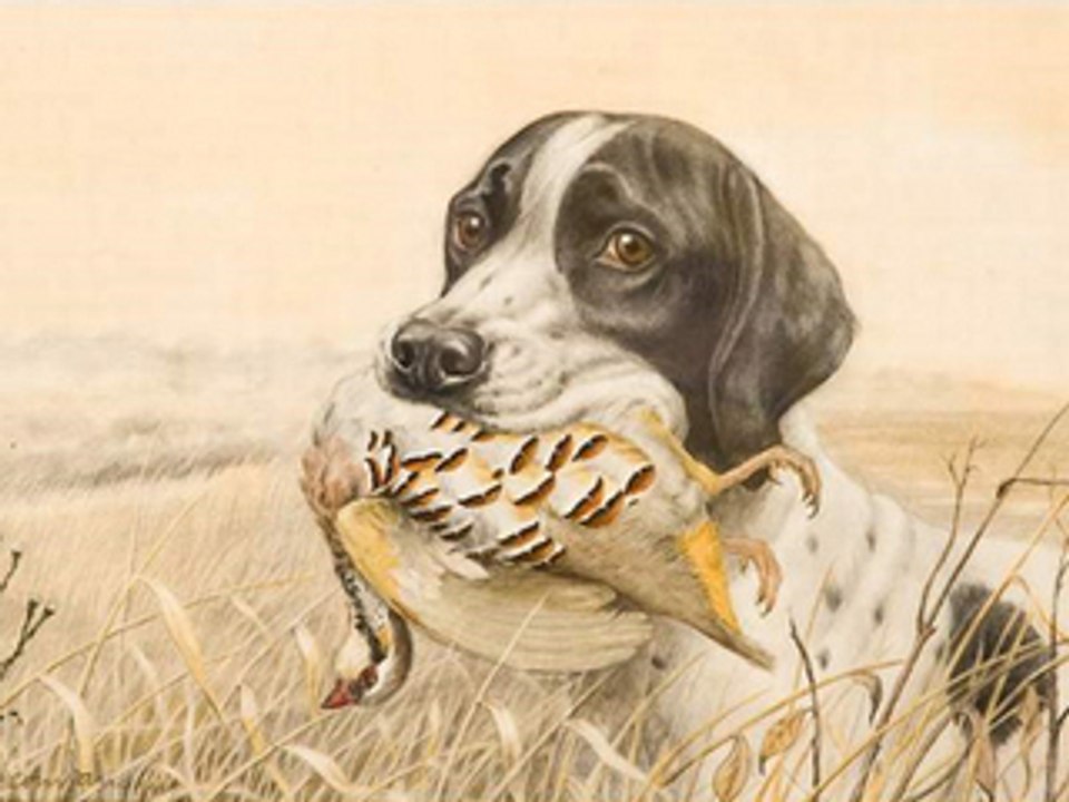 Avant l’ouverture de la chasse