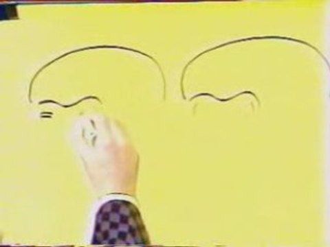 RECRE A2 CABUS DESSINE AVEC LEYMERGIE STEFGAMERS