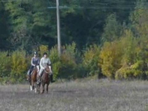 Ballade avec Pauline, indiana et flipper