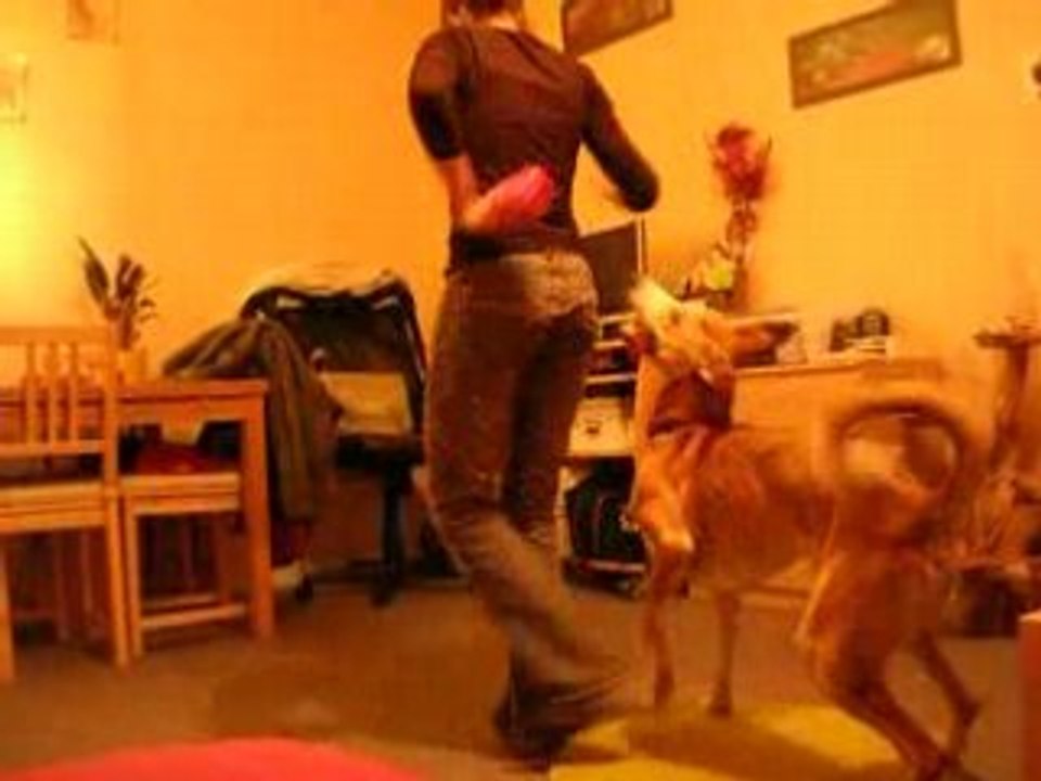 Vanook pour canifreestyle!