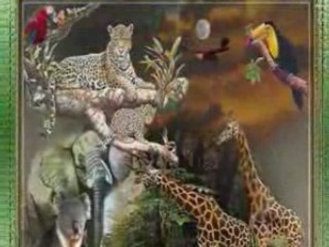 DJ JACEK 13-10 2008 CISZA