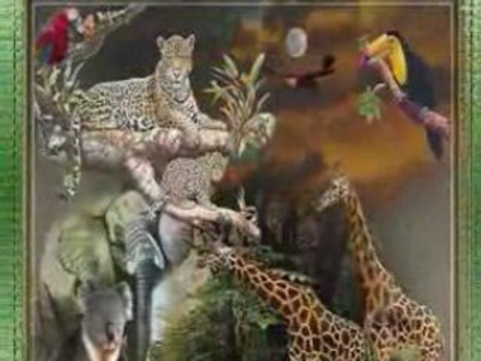 DJ JACEK 13-10 2008 CISZA