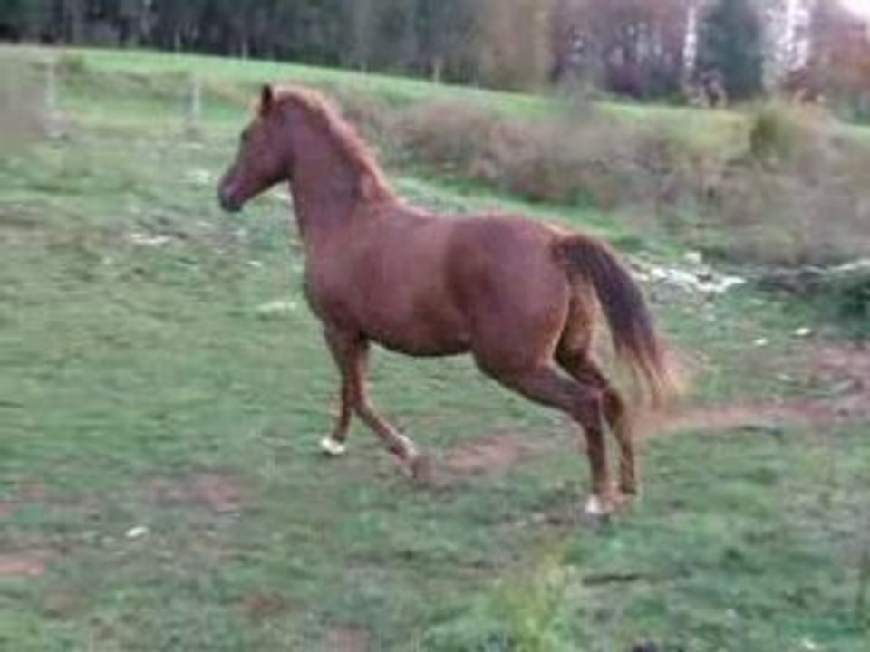 lizzyb13102008