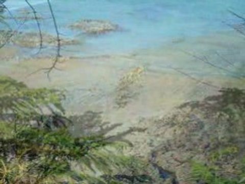 Etables sur Mer, sentier des douaniers