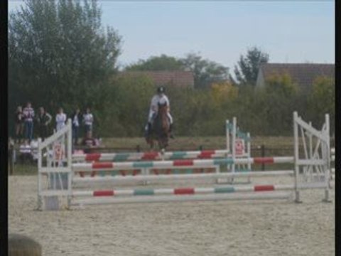 Concours Dimanche 12 Octobre 2008