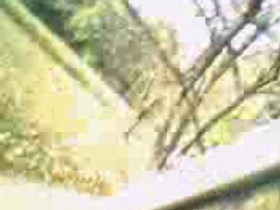 Burn drift délire 205 guignol gti cab T16 frein a main