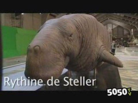 Jacques Perrin nous parle de son nouveau film : Océans