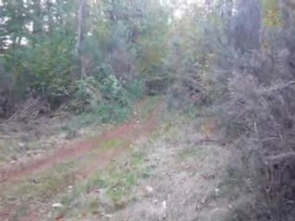 saut long en 350 banshee