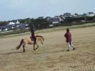 Tout début de placé en lib monté