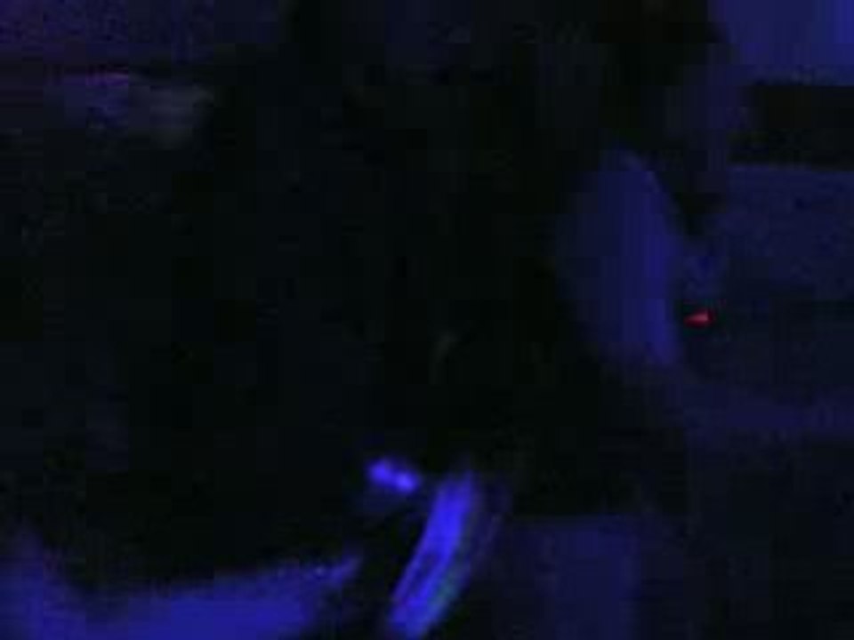 video pont aeri 2 remember 11.10.08