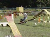 Tenor Concours d'agility