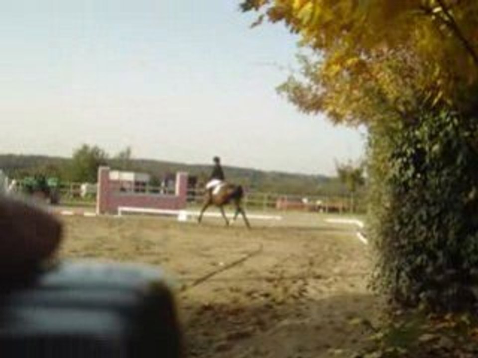 premier concours de dressage de léonie et quita (club 2 GP)
