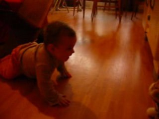 Luna fait du 4 pattes