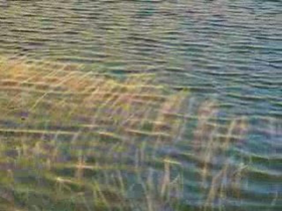 algues, eau et lumière 3