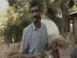 Hash in Morocco: 1-4 Overview