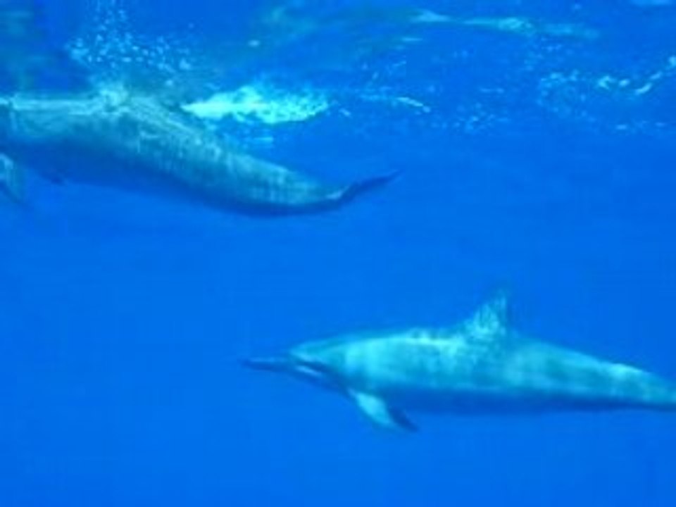 081013-2208401-Unknown
