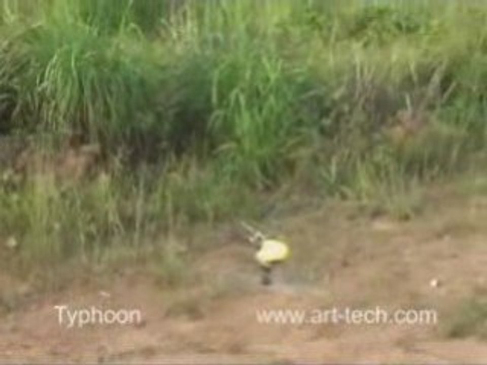 Typhoon 3D Helico RTF Art-Tech