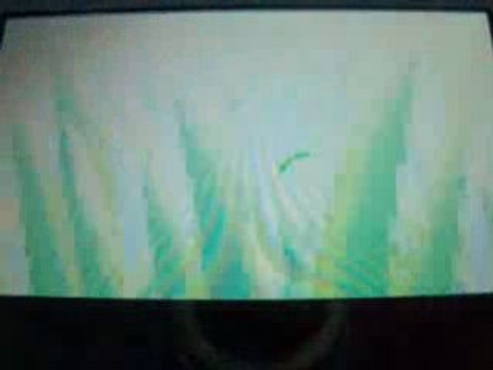 Mouvements Pokémon au combat dans Platine