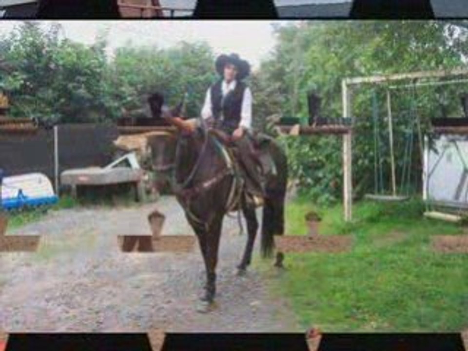 Horsevlams & ses chevaux_0001