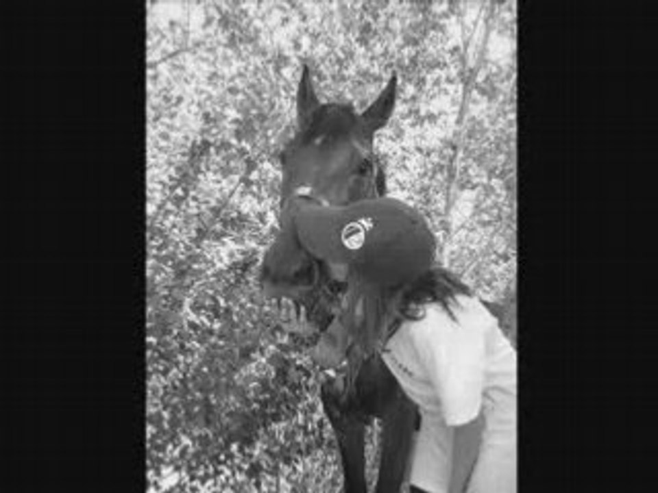 Le Bernardo ♥